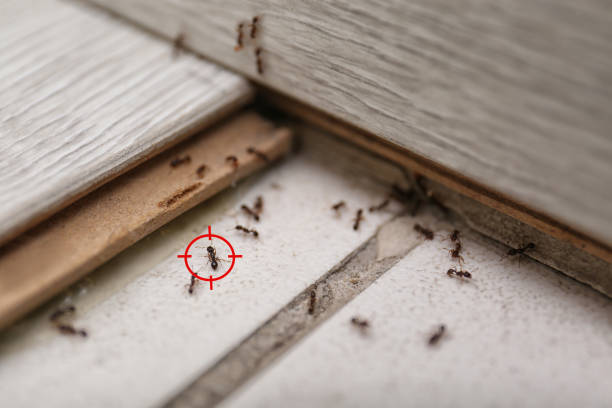 Best Wildlife Control Services  in Lake Secession, SC