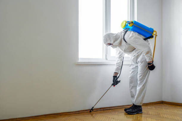 Best Mosquito Control Services  in Lake Secession, SC