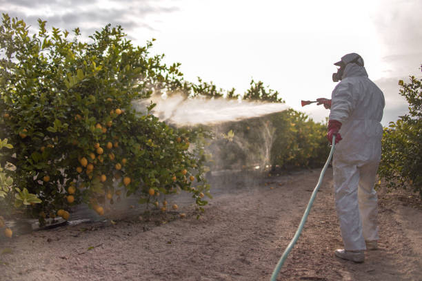 Best Bed Bug Extermination  in Lake Secession, SC