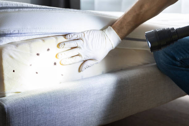 Best Pest Removal Services  in Lake Secession, SC