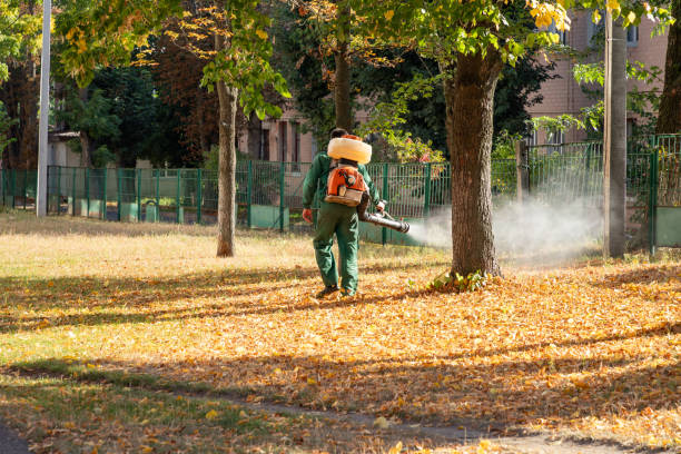 Best Insect Control  in Lake Secession, SC